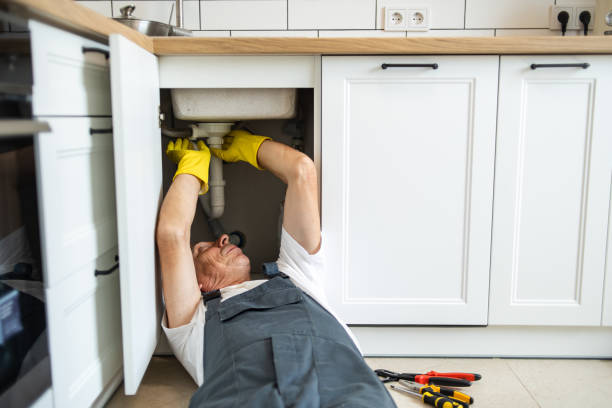 Best Affordable Plumbing Services  in Ridgway, CO
